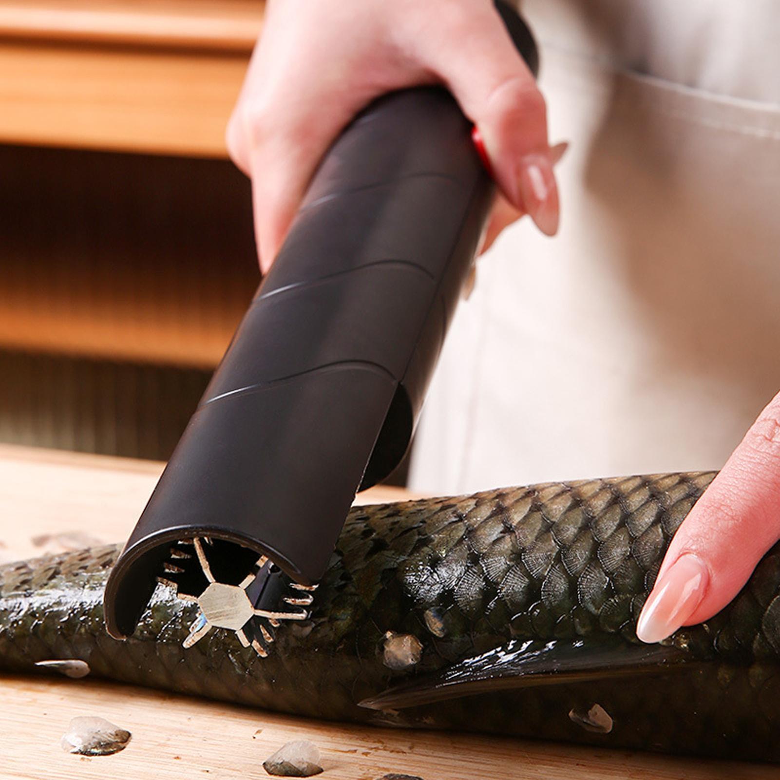 Fruit Grater Cordless Handheld - Meal Prep Restaurant のレビューと価格