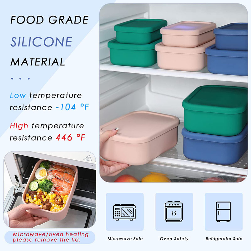 Leak-Resistant Bento Lunch Box - Meal Prep List のレビューと価格
